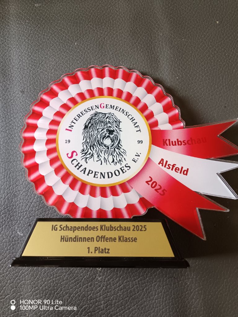 CH. Thylia litha grise Du bois des nonnes - 1er Exc - CAC du VDH - RCACS du Club Allemand