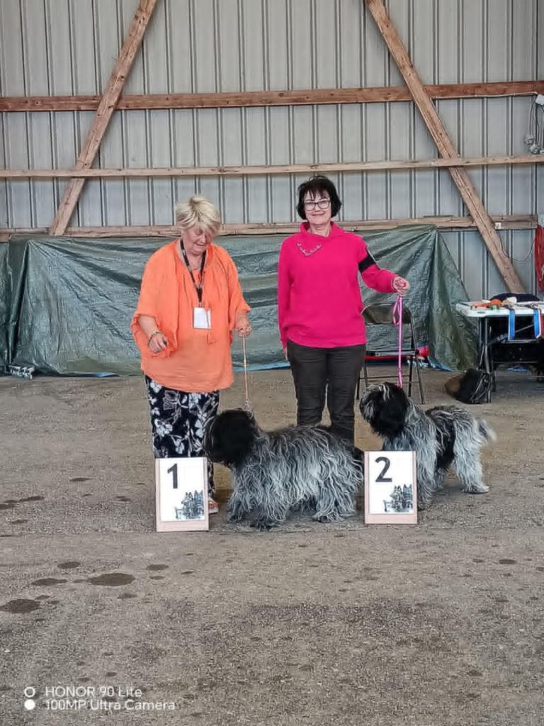 CH. Thylia litha grise Du bois des nonnes - 1er Exc