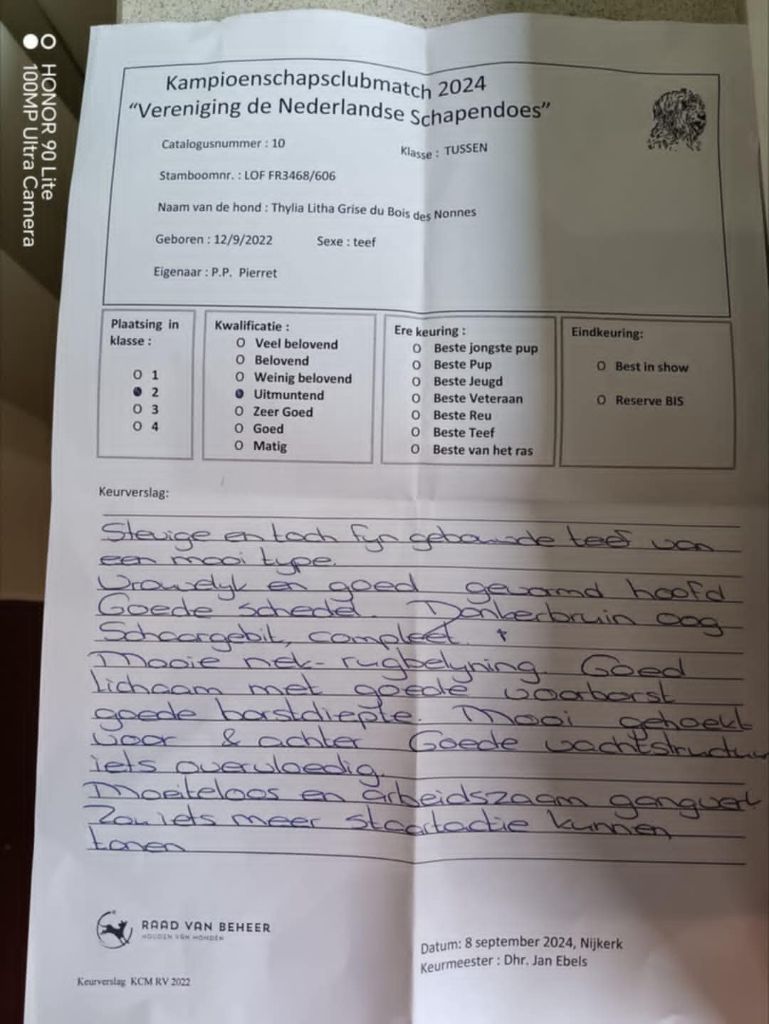 CH. Thylia litha grise Du bois des nonnes - 2ème Exc