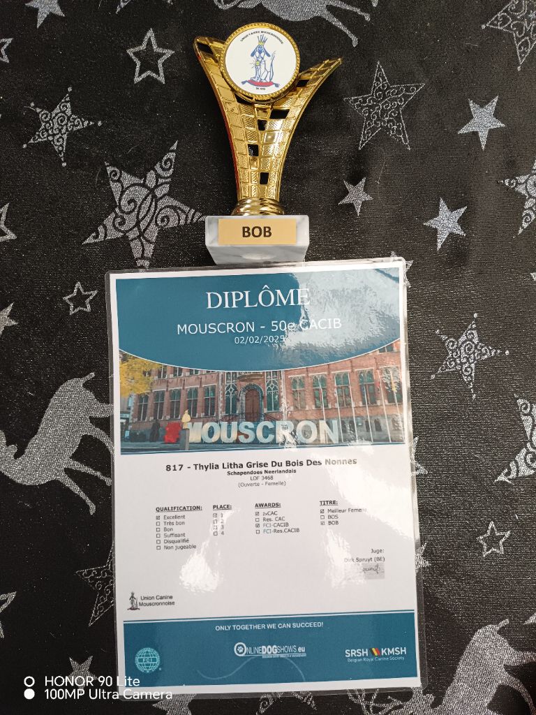 CH. Thylia litha grise Du bois des nonnes - 1er Exc - CACS - CACIB - Meilleur de Race