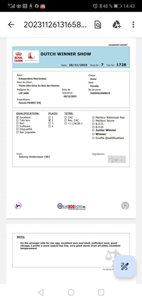 CH. Thylia litha grise Du bois des nonnes - 2ème Exc