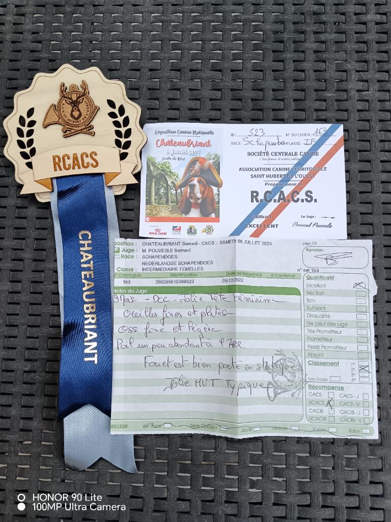 CH. Thylia litha grise Du bois des nonnes - 2ème Exc - RCACS