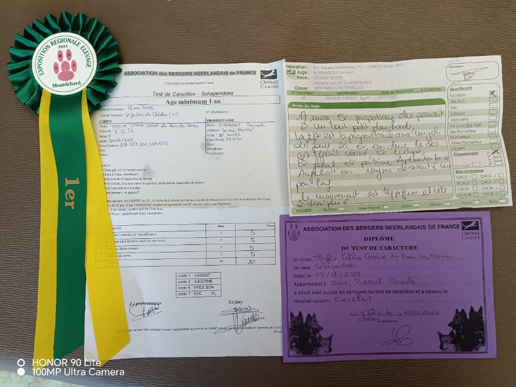 CH. Thylia litha grise Du bois des nonnes - 1er Exc