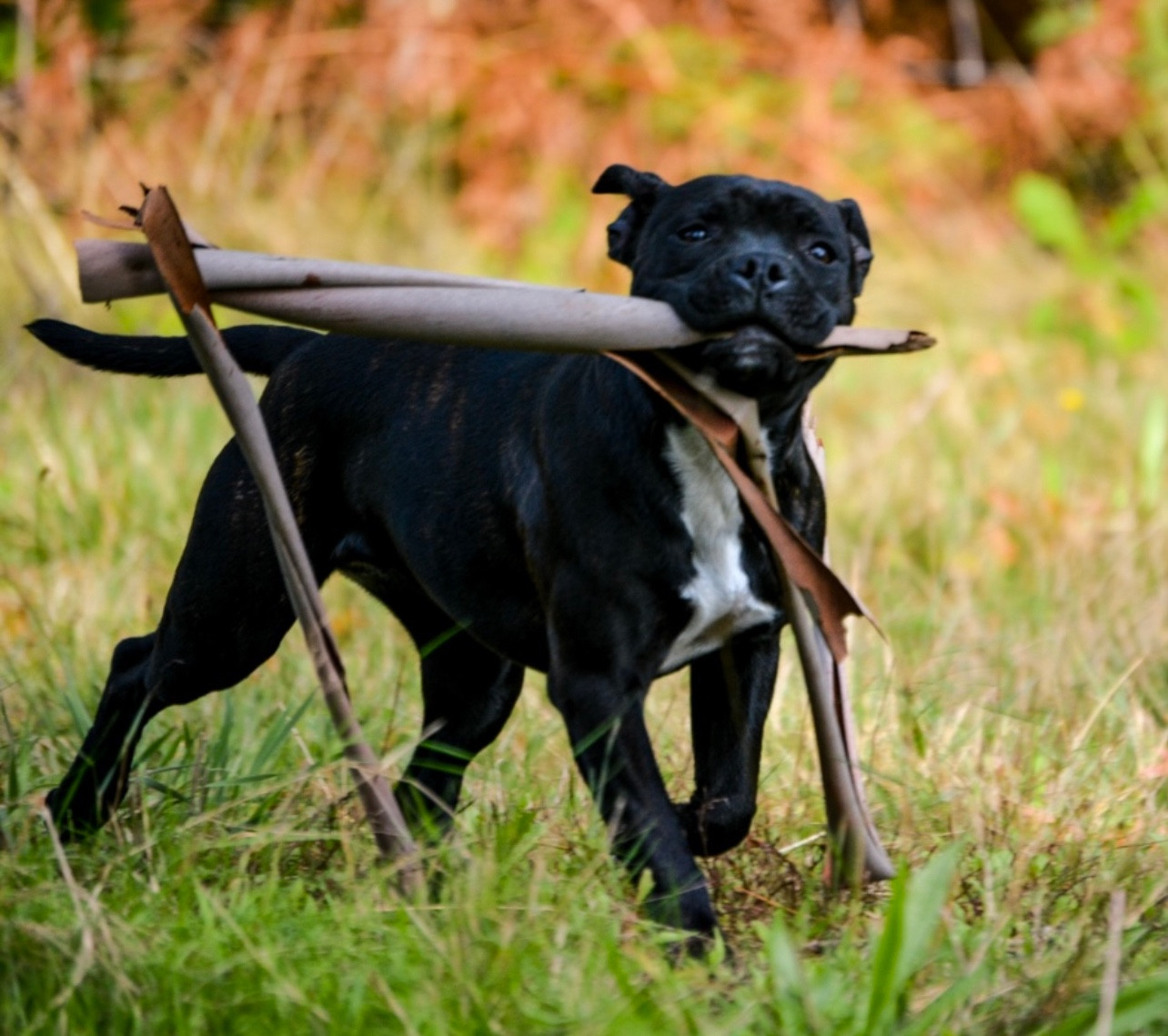 Royal and Legendary Alone heart