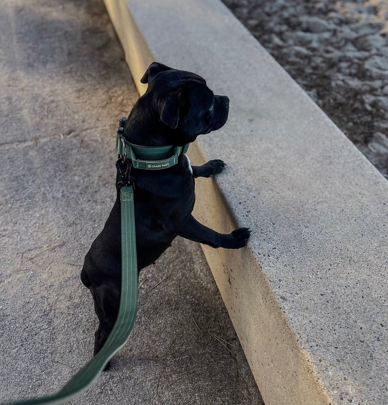 Ultra temptation only Original Stafford Legend