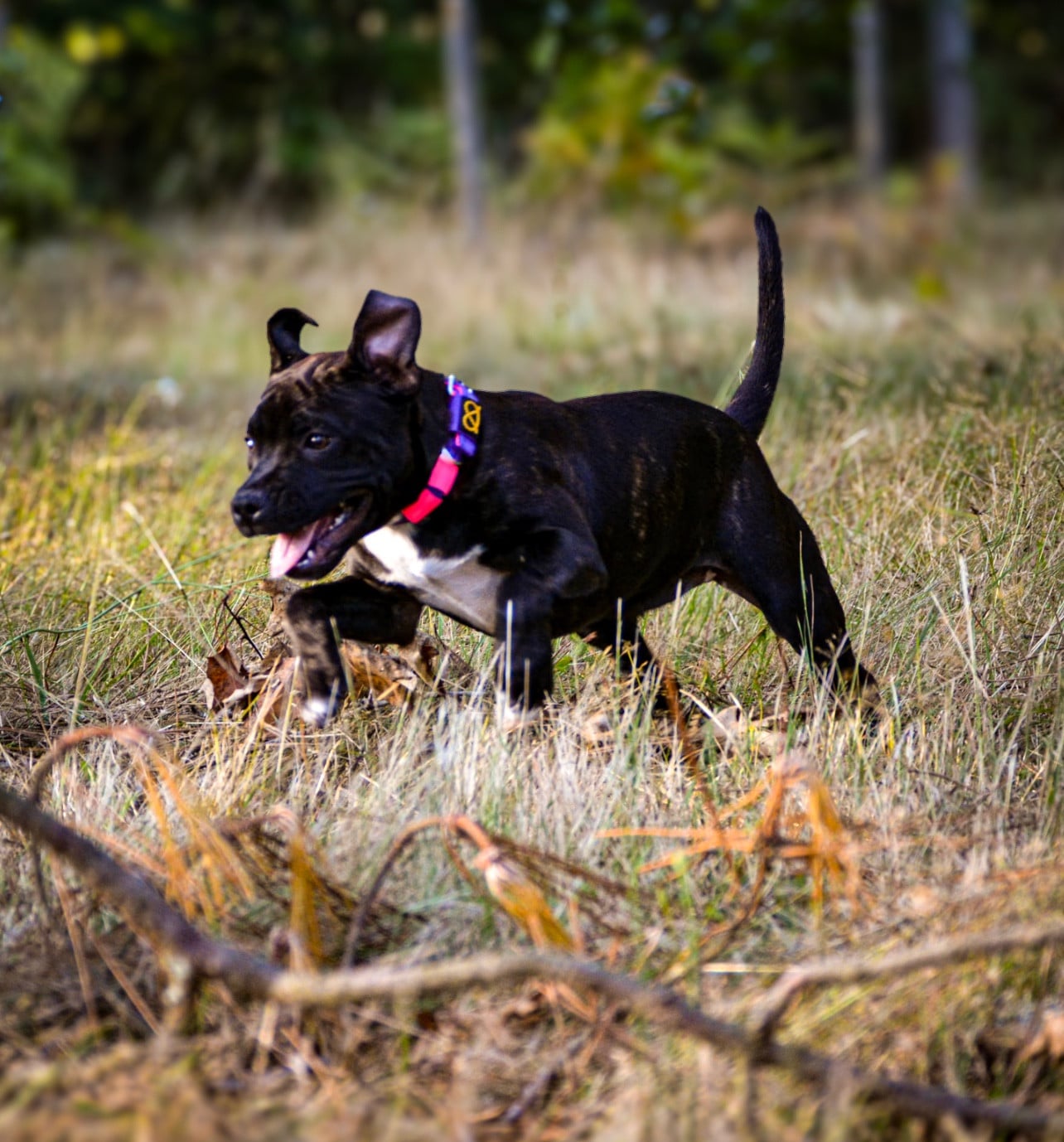 Royal and Legendary Alone heart