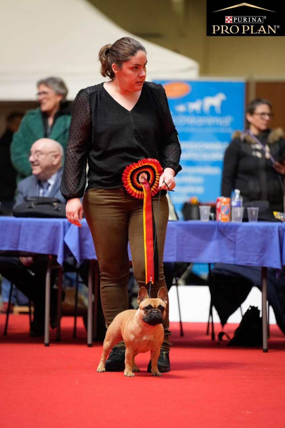 CH. Tilia Des Bould'Anges D'Hewen