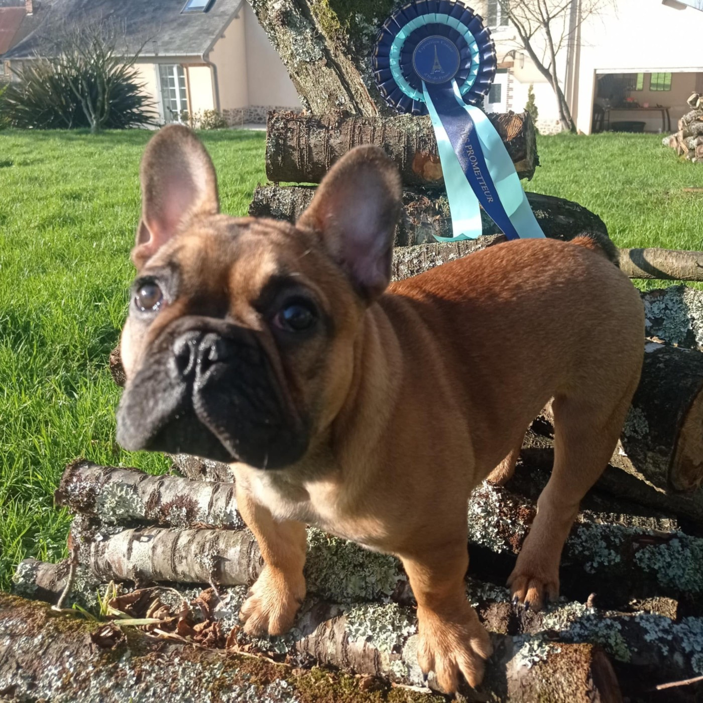 VROUM Du Domaine Des Boulipotes