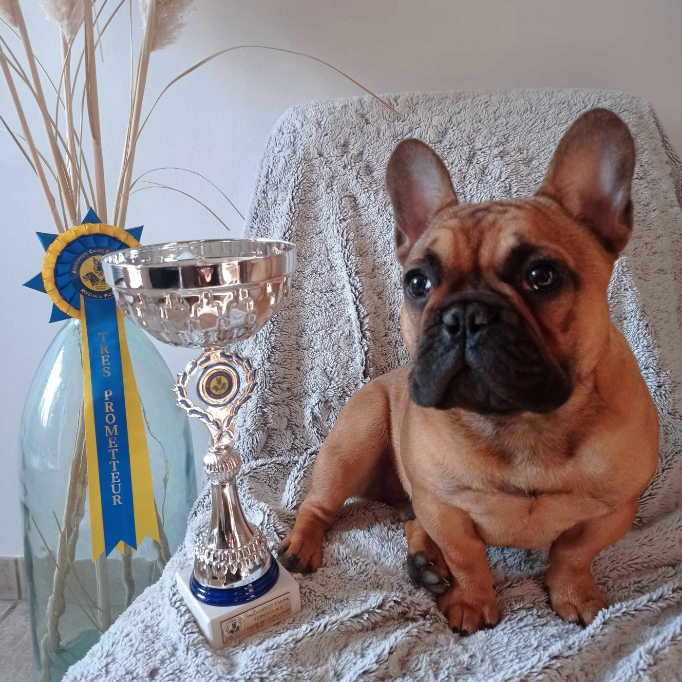 VROUM Du Domaine Des Boulipotes