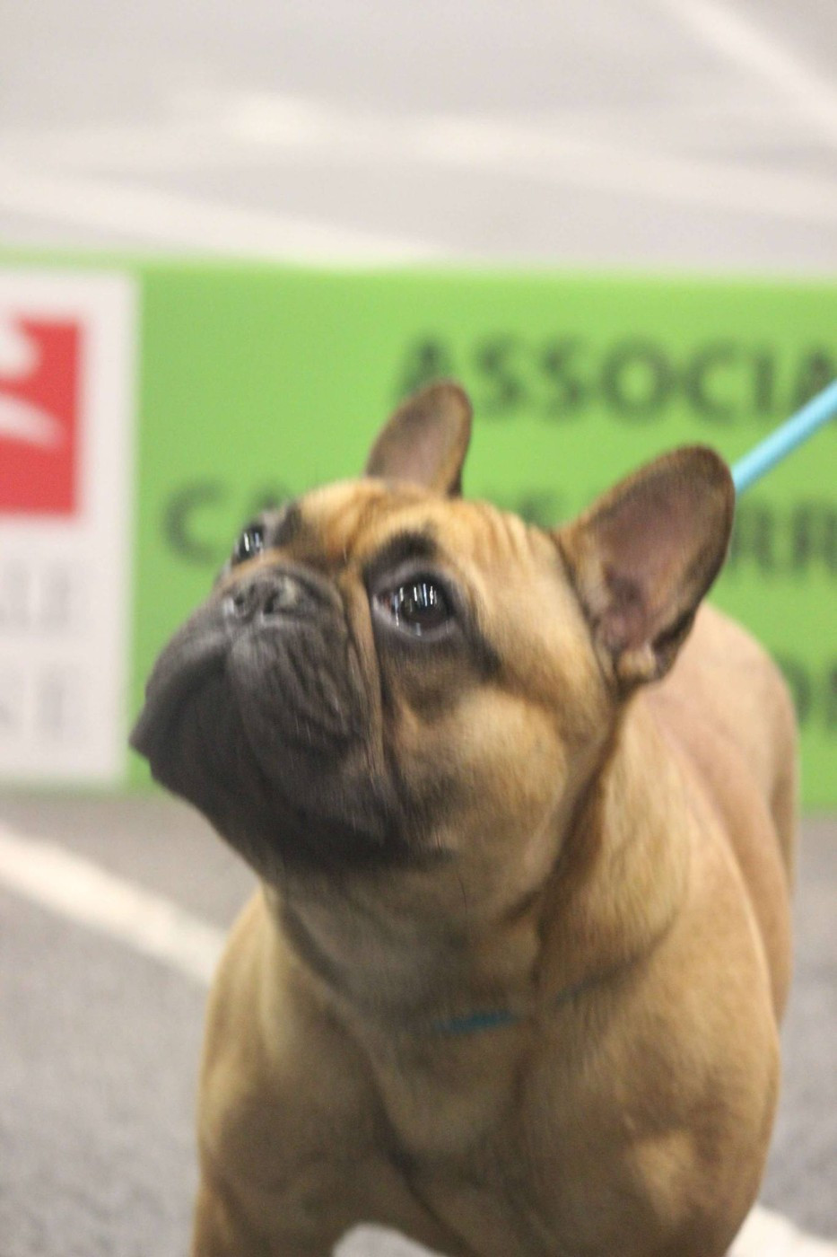 VROUM Du Domaine Des Boulipotes