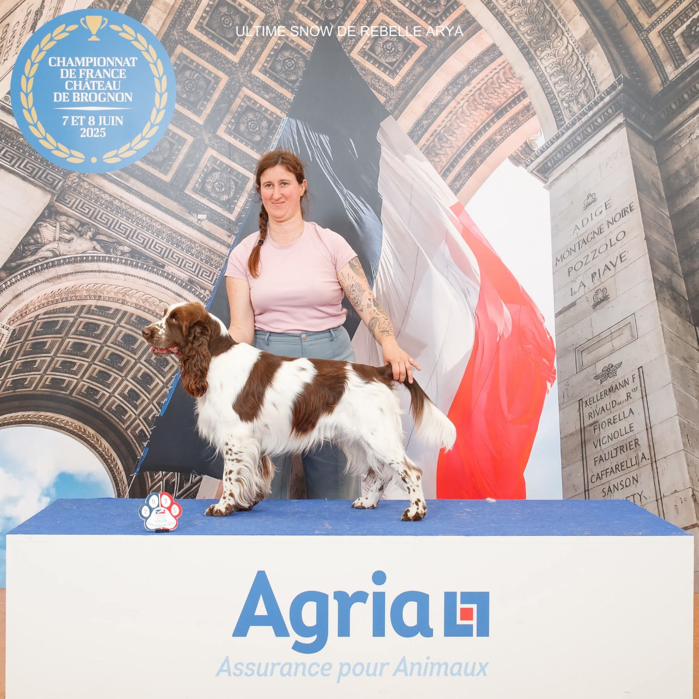 Publication : De Rebelle Arya Auteur : Animographia