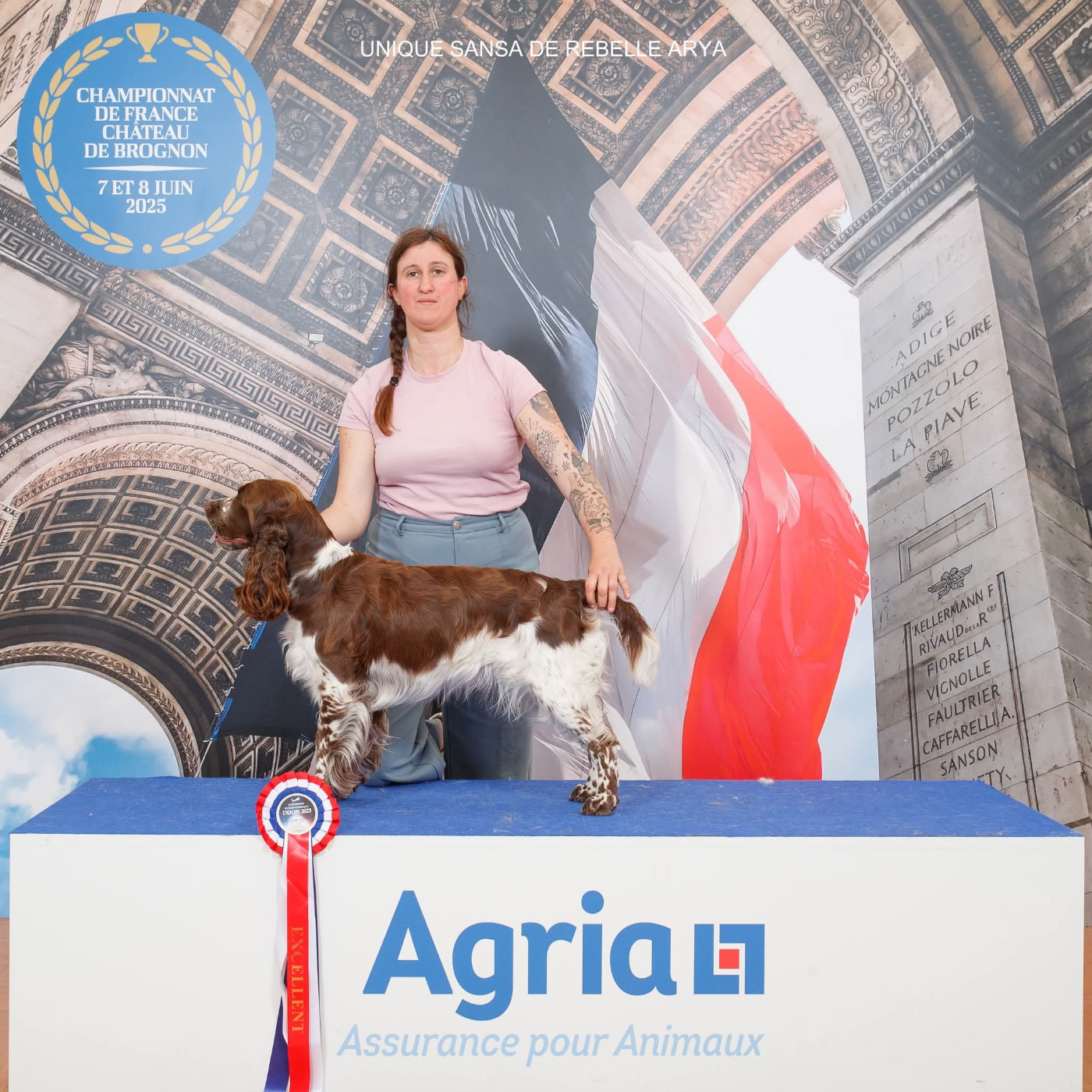 Publication : De Rebelle Arya Auteur : Animographia