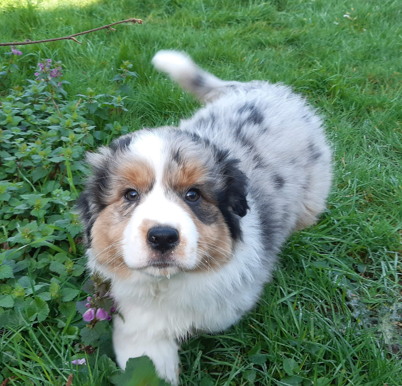 Arpège du Libre Rivage