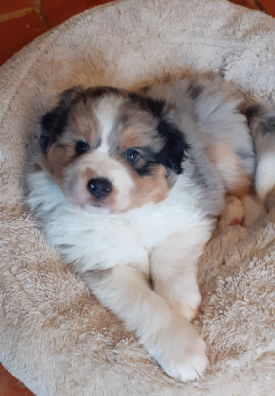 Arpège du Libre Rivage