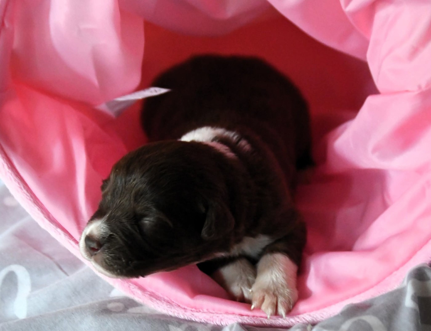 What A Beautiful Girl Sofia des Rêves d'Eole