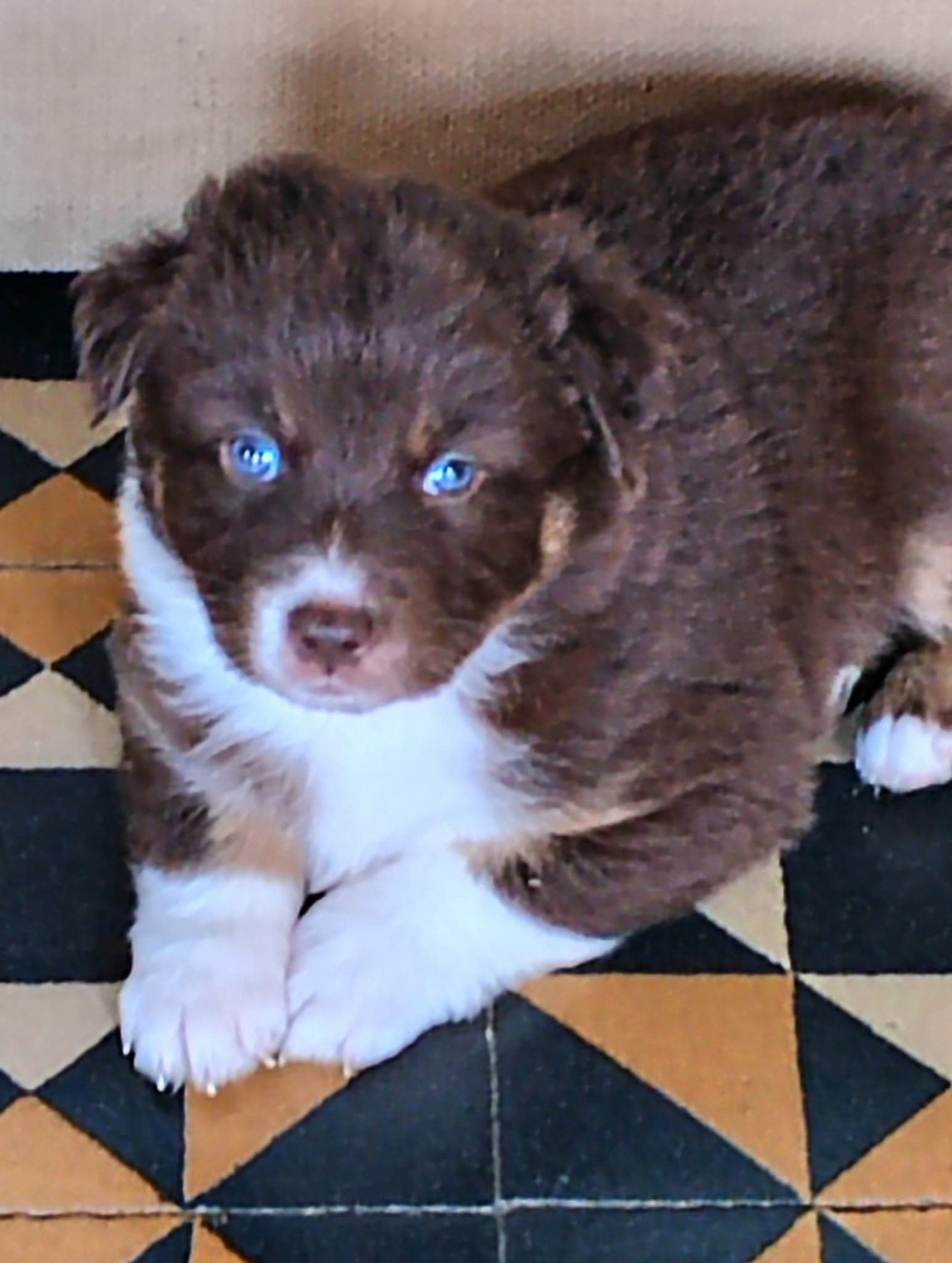 What A Beautiful Girl Sofia des Rêves d'Eole