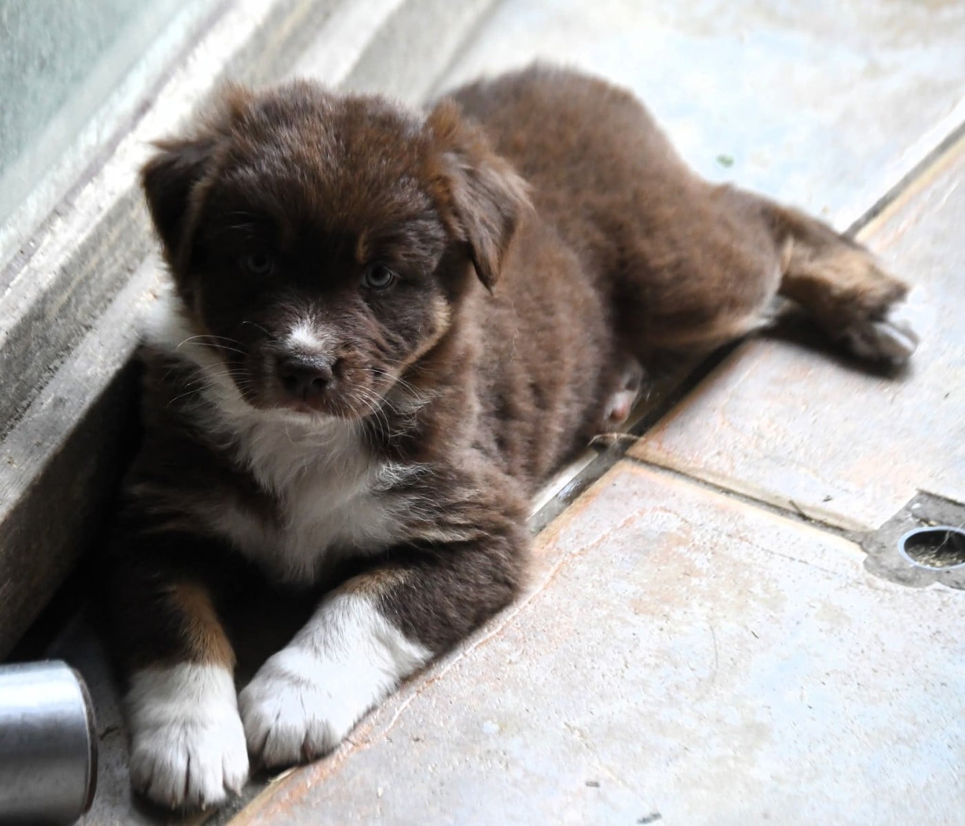 What A Beautiful Girl Sofia des Rêves d'Eole