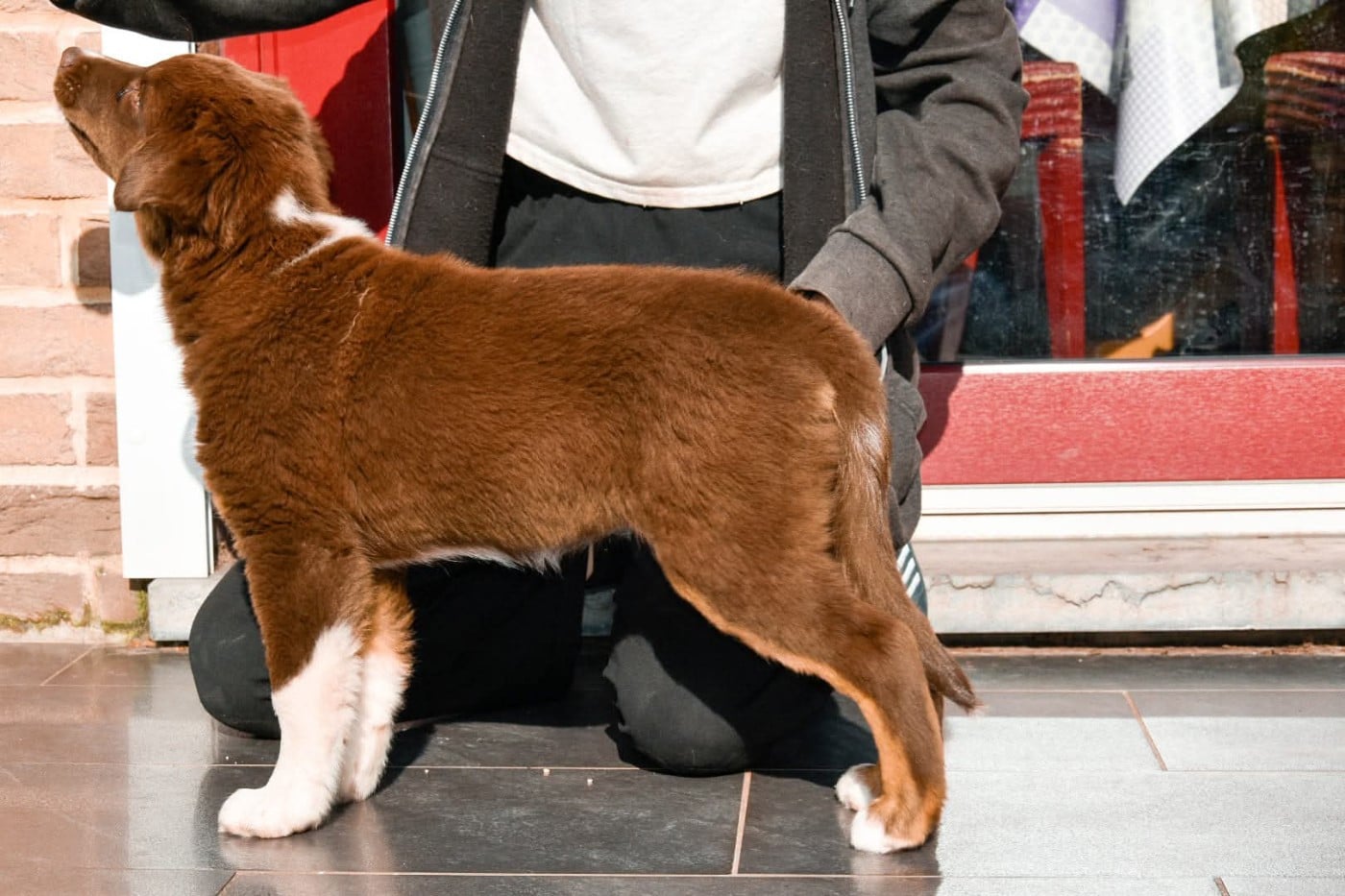 What A Beautiful Girl Sofia des Rêves d'Eole