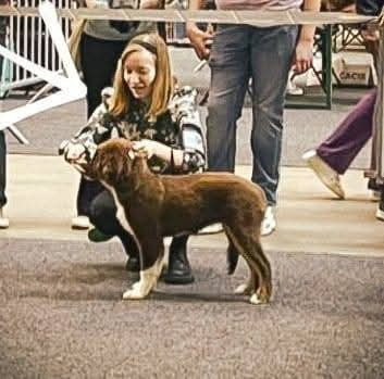 What A Beautiful Girl Sofia des Rêves d'Eole