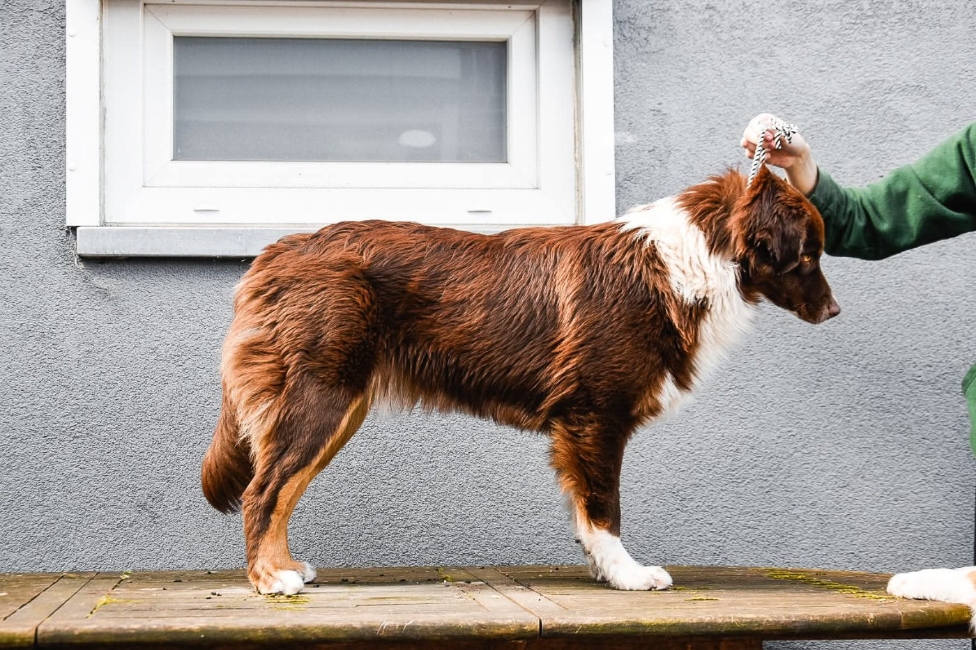 What A Beautiful Girl Sofia des Rêves d'Eole
