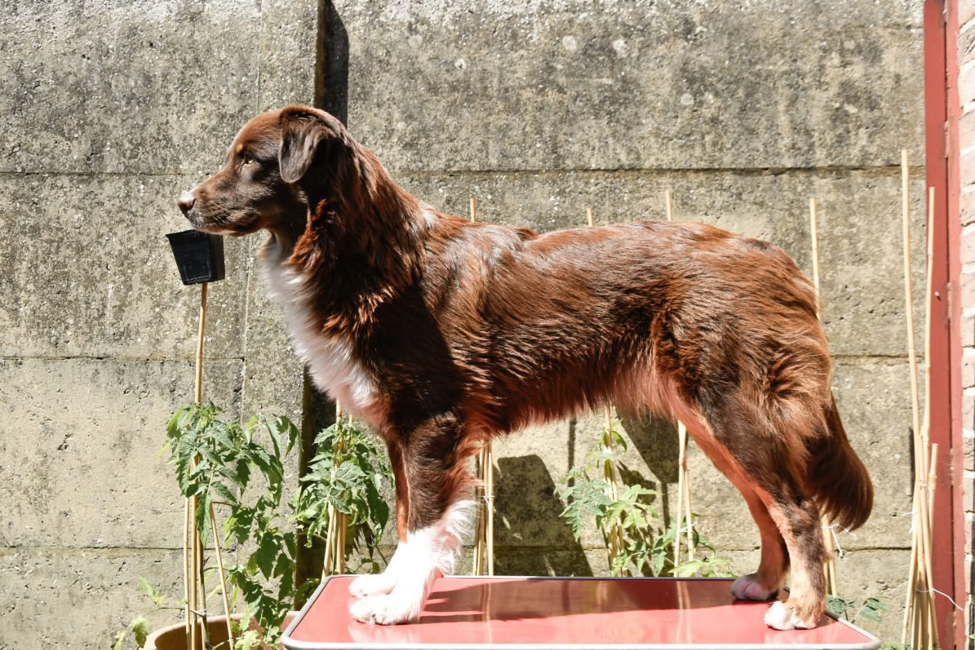 What A Beautiful Girl Sofia des Rêves d'Eole