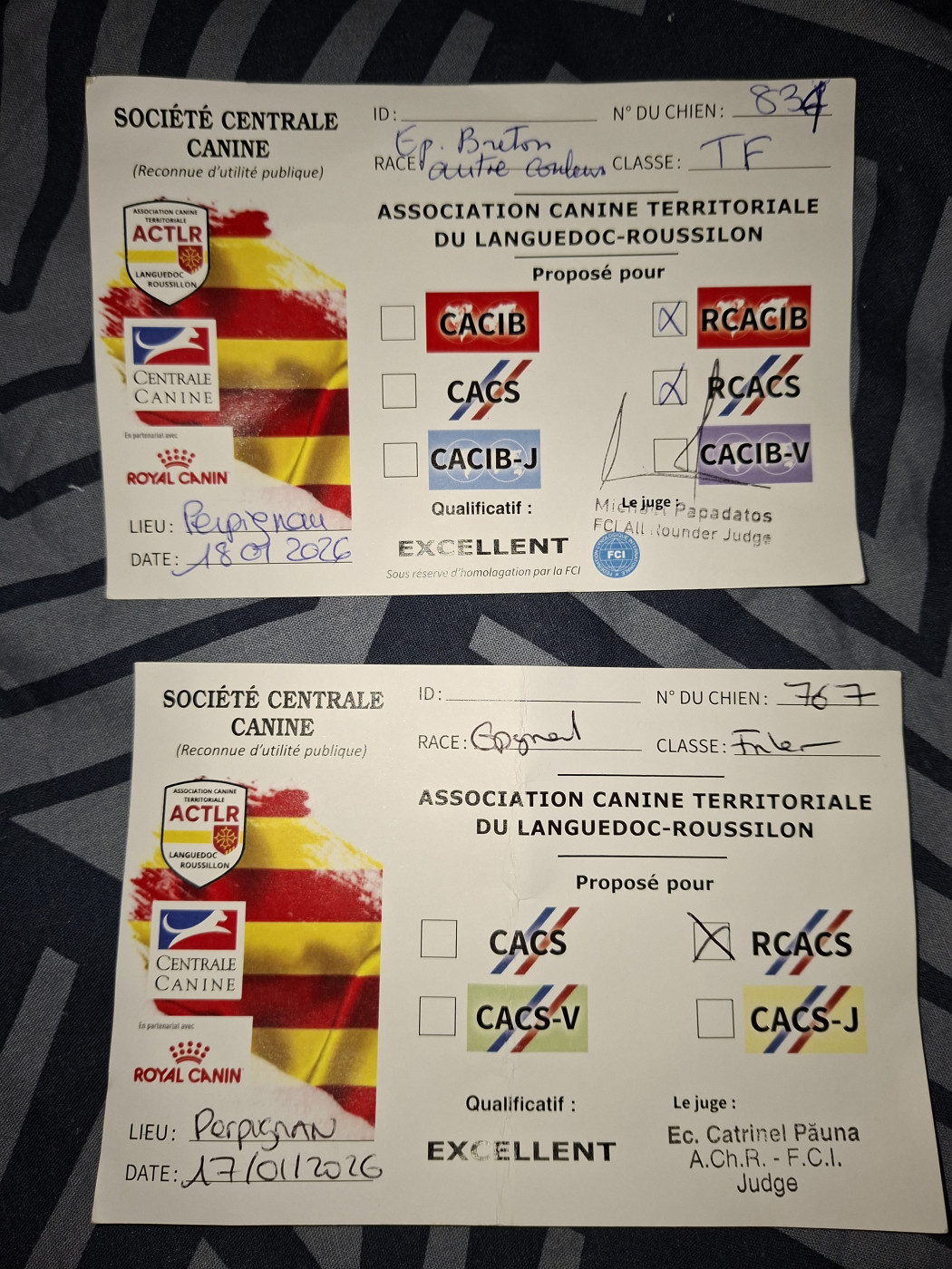 Vickie Ô Flash Du Kerr Si - RCACS - RCACIB