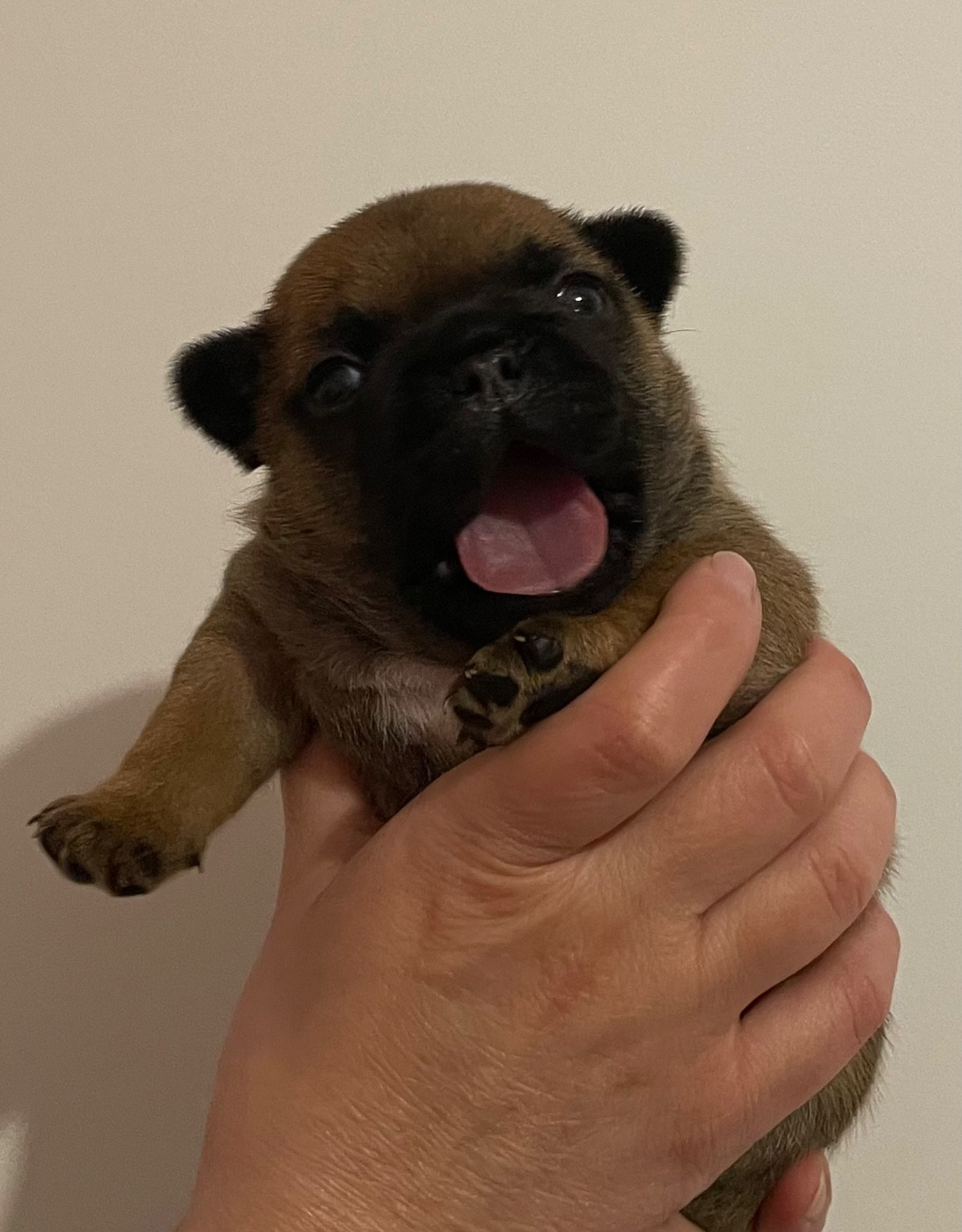 Baki (prénom provisoire)