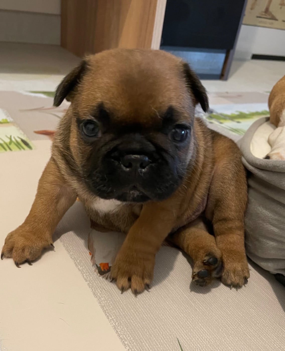 Baki (prénom provisoire)