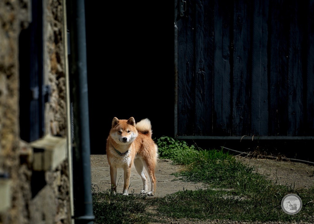Tanako  De Matatizo Hakuna