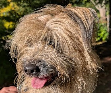 Ty-roch de L'Oustaou de Padel