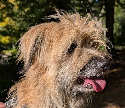 Ty-roch de L'Oustaou de Padel