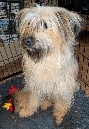 Publication : Du Rocher De Garla