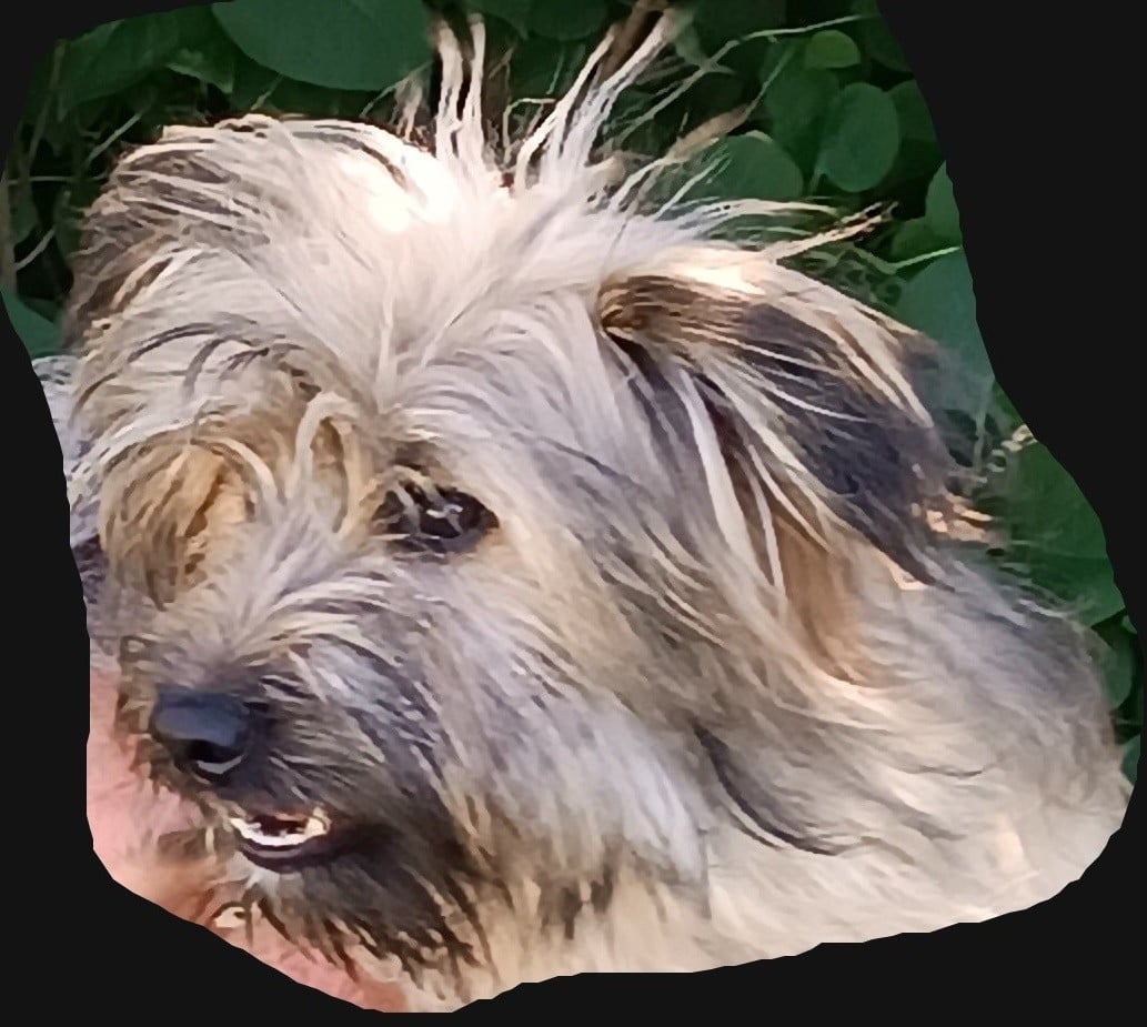 Publication : Du Rocher De Garla