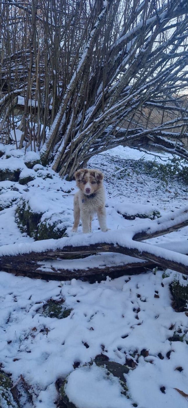 Publication : Du Haut Village