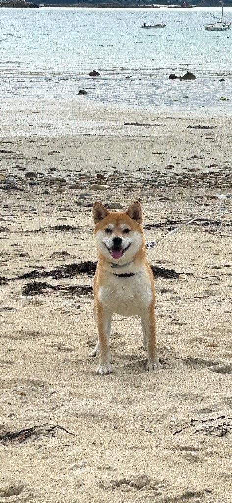 Publication : (Sans Affixe)