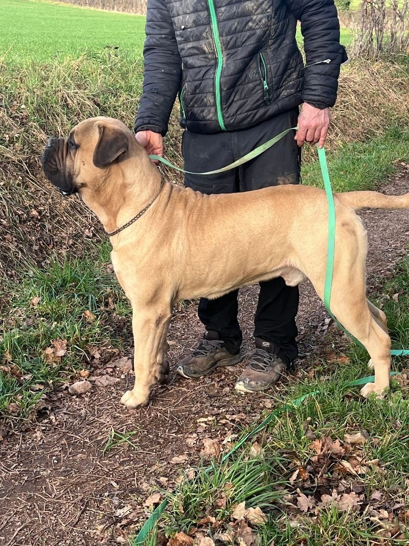 Publication : Nikofarm Star