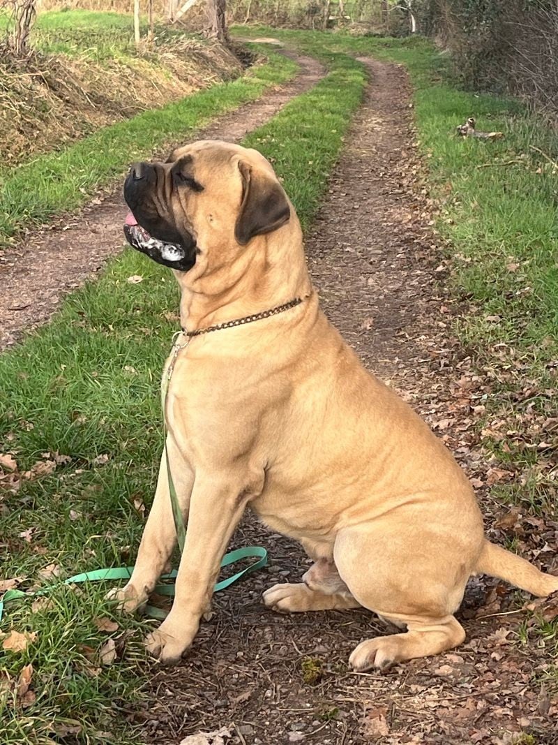 Publication : Nikofarm Star