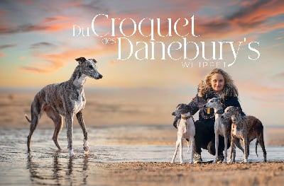 Du Croquet Des Danebury's