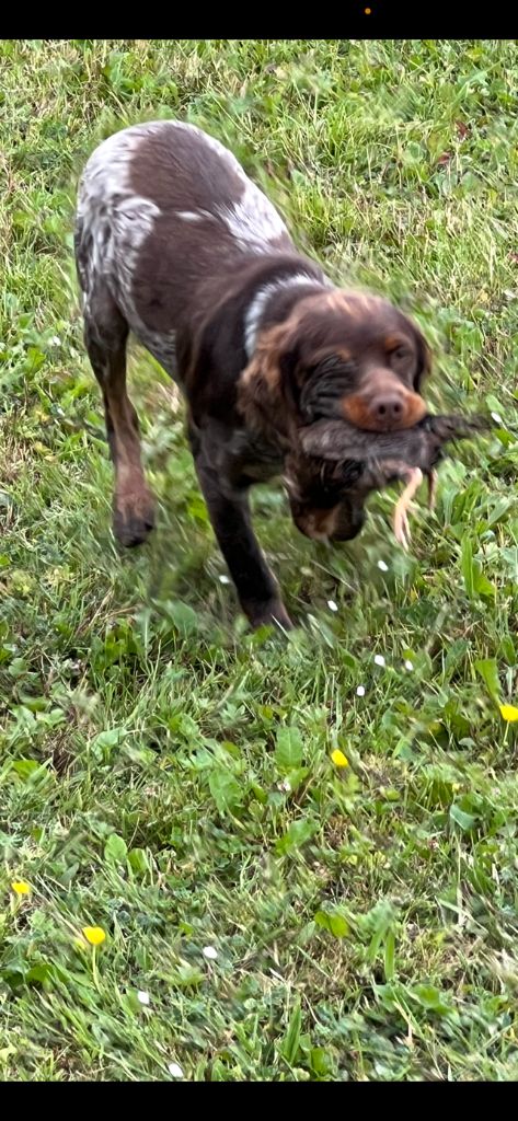 Aika Des Joyaux Miniers