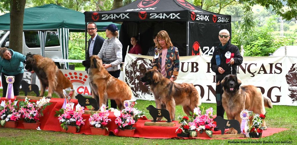 Turquoise taiga rosadjah de la citadelle d'hermance
