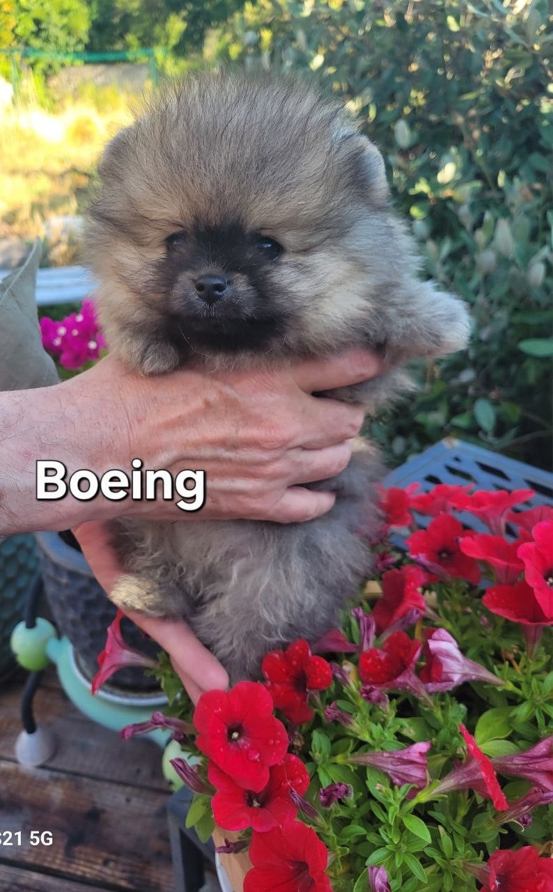 Boeing