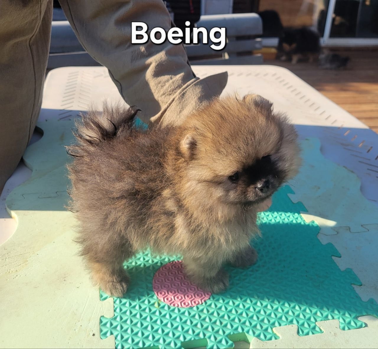 Boeing