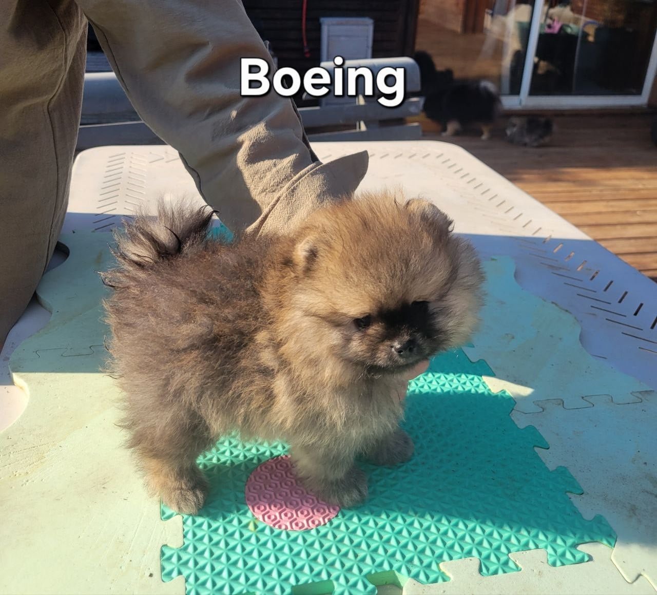 Boeing