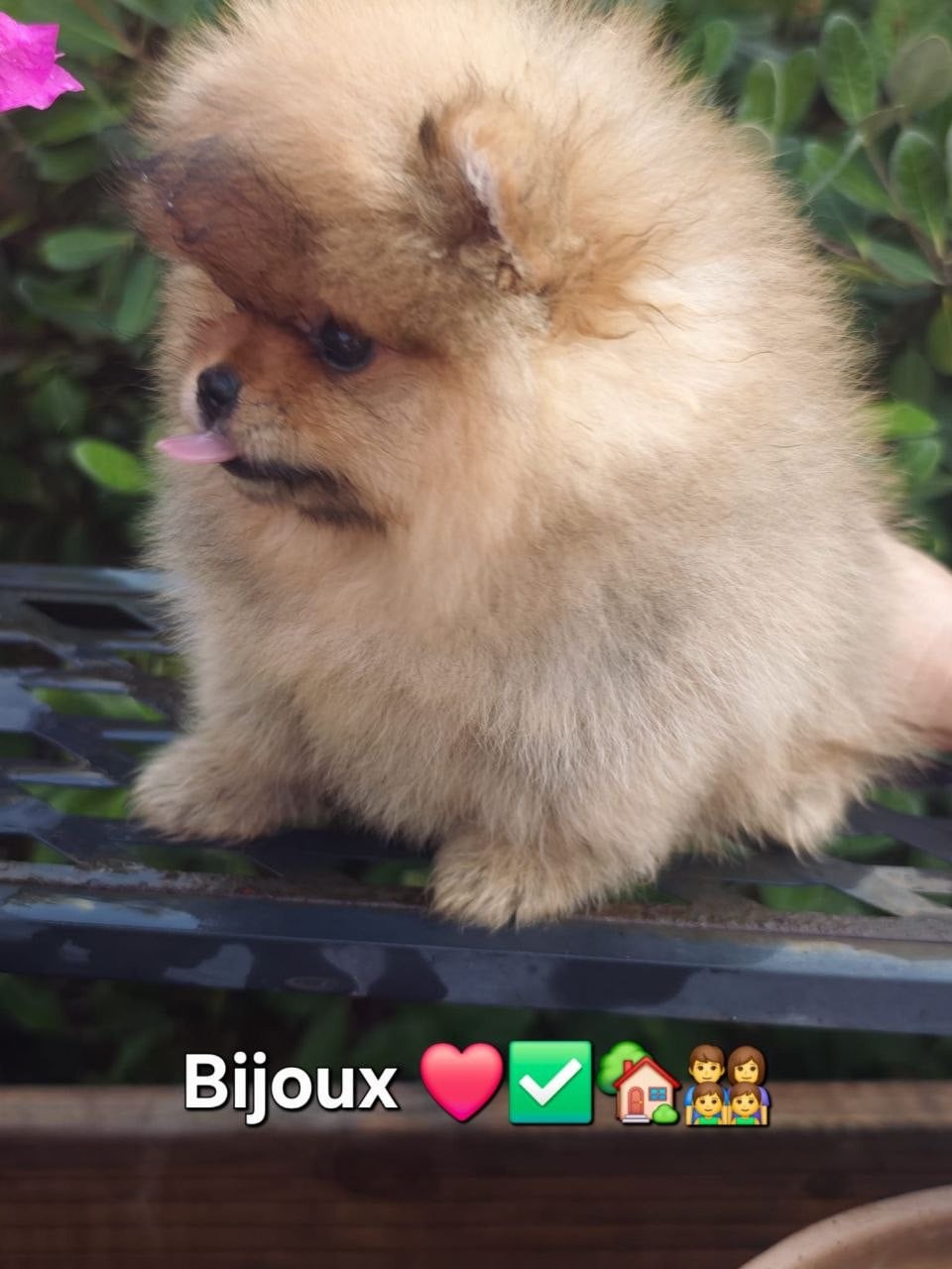 Bijoux