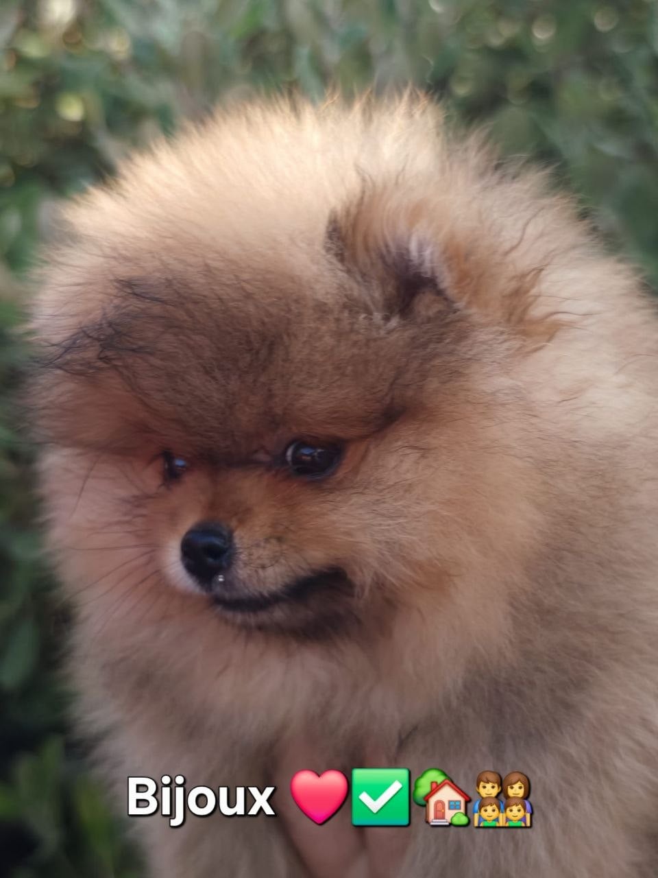Bijoux