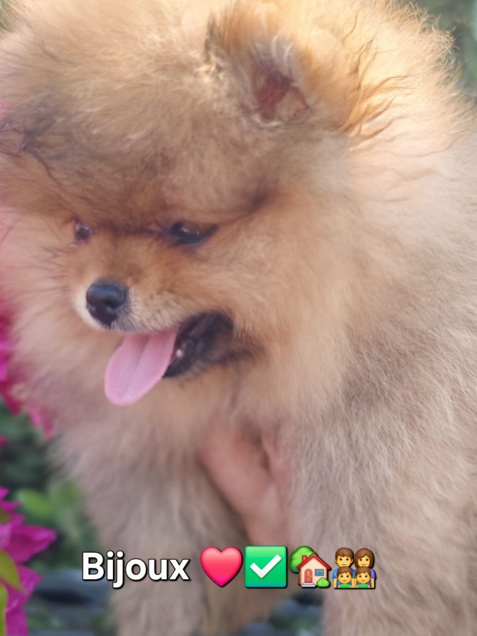 Bijoux