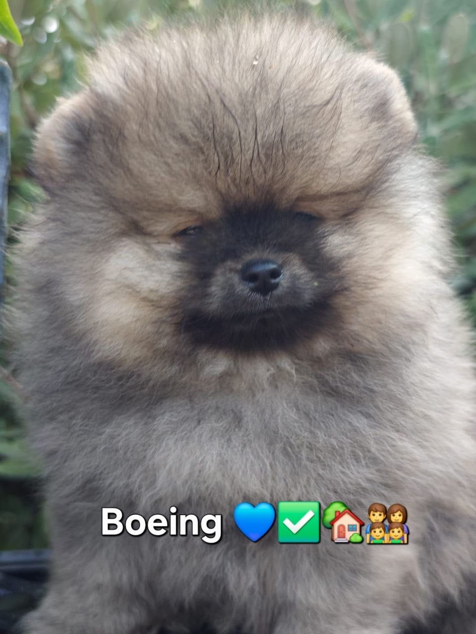 Boeing