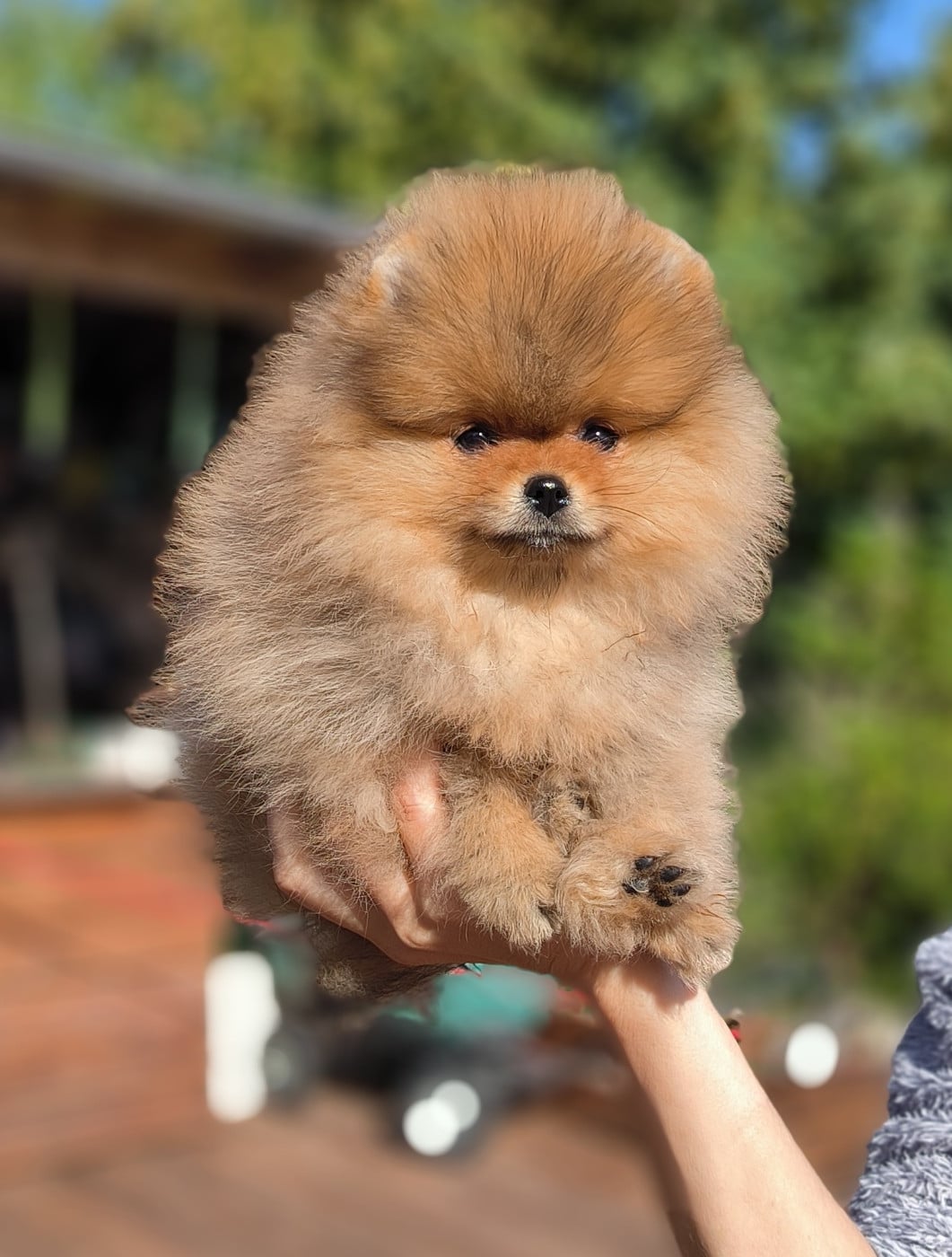 Bijoux