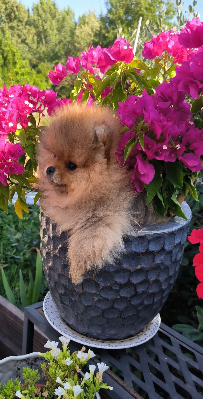 Bijoux