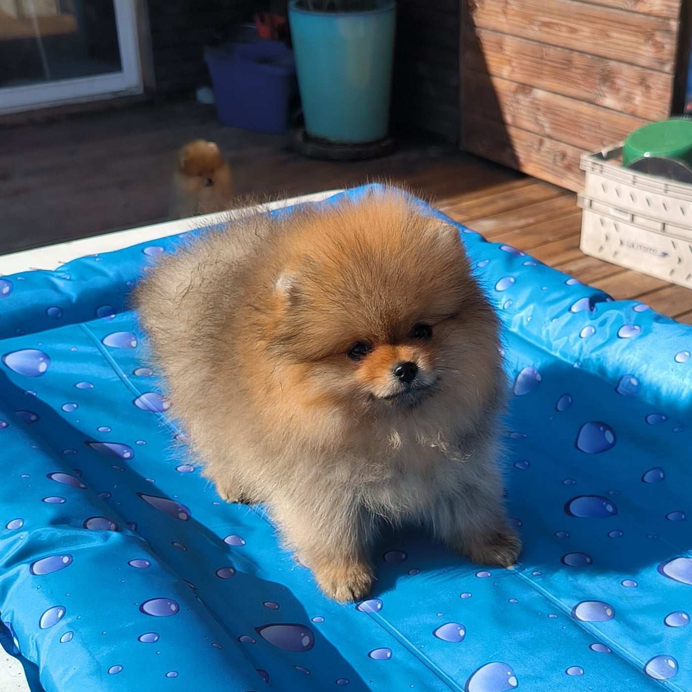 Bijoux